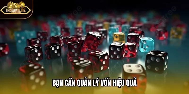 Bạn cần quản lý vốn hiệu quả