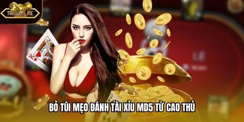 Bỏ túi mẹo đánh tài xỉu MD5 từ cao thủ