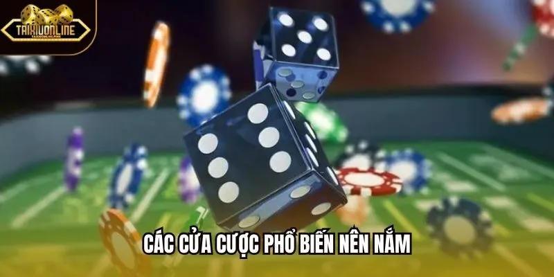 Các cửa cược phổ biến nên nắm